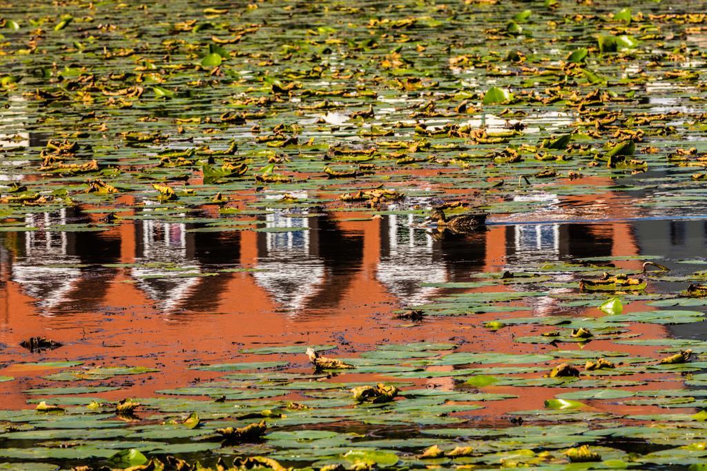 Hotel Prinz Albrecht Neuzelle Bagian luar foto