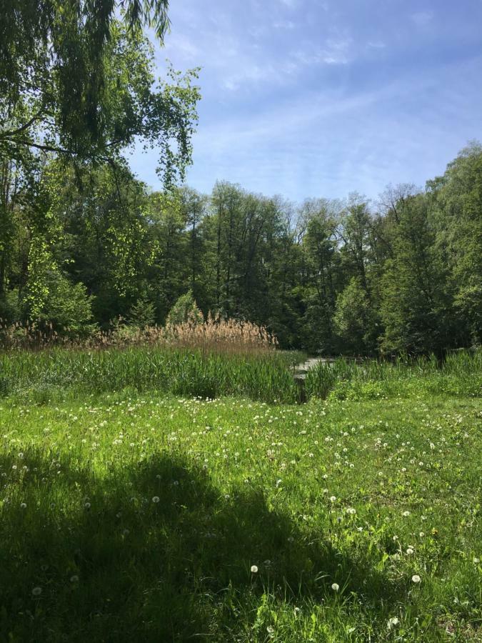 Hotel Prinz Albrecht Neuzelle Bagian luar foto