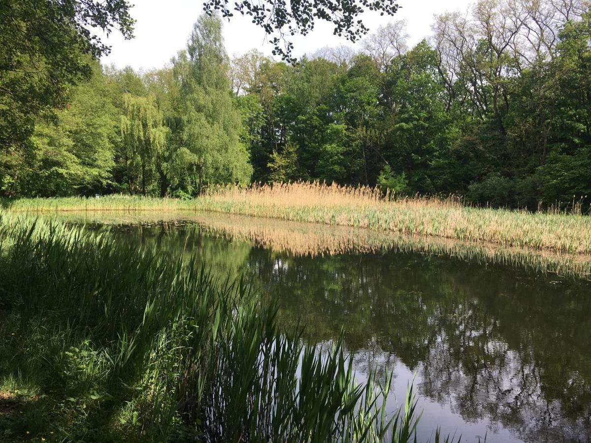 Hotel Prinz Albrecht Neuzelle Bagian luar foto